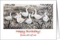 Happy Birthday from all of us -geese card