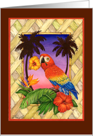 Parrot Tropical florals- blank note card
