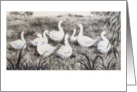 Geese brush painting - Blank Card