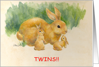 Congratulations-Twins-Bunnines card