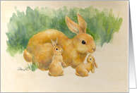 Bunnies painting...