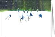 Red Crowned Cranes-blank note cards