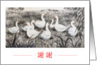 Thank you-Asian geese painting card