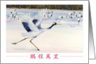 Congratulations- advanced degree-Flying Red Crowned Crane card