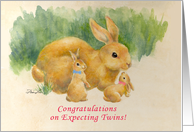 Congratulations on expecting twins, a boy & a girl- bunnies card