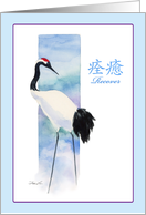 Recovery-Red Crowned Crane card