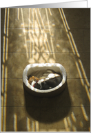 Pet sympathy- sleeping dog in the sunbeam from stain glass card