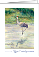 Happy Birthday-Sandhill Crane card