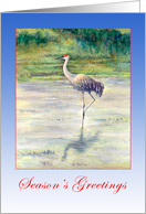 Season’s Greetings-Sandhill Crane card