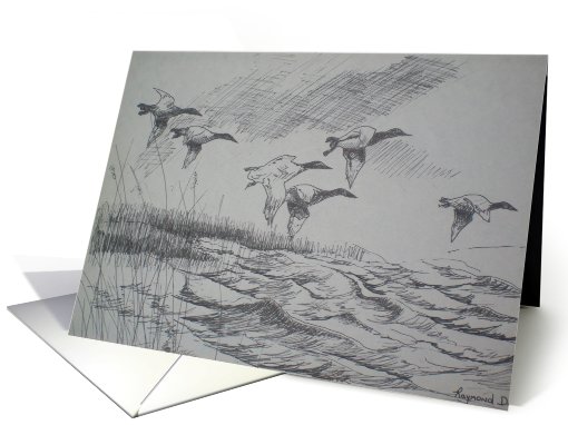 Canvasbacks / pen and ink card (689865)