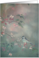 Bird resting on limb card