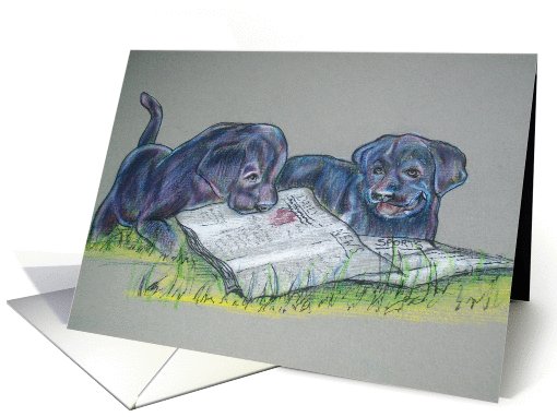 Black Labs Playing with Newspaper card (690203)