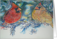 Cardnals on a Limb card