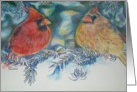 Cardnals on a Limb card