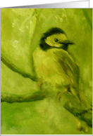 Bird resting on a limb card