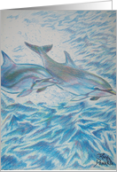 Dolphins at play card