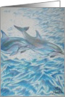 Dolphins at play card