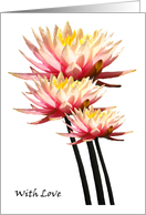 Waterlily with love card
