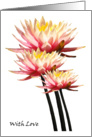 Waterlily with love card