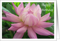 Dahlia Happy Birthday card.. card