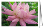 Dahlia Happy Birthday card.. card