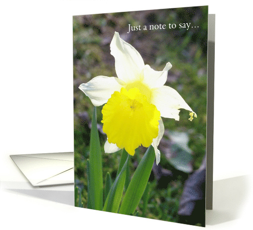Daffodil Just a note to say ... card (605016)