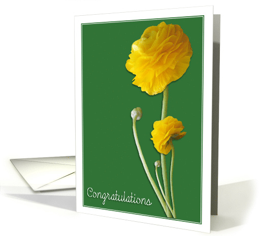 Ranunculus Congratulations card (605024)