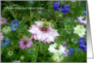 Nigella Love-in-a-mist Hope you feel better soon card