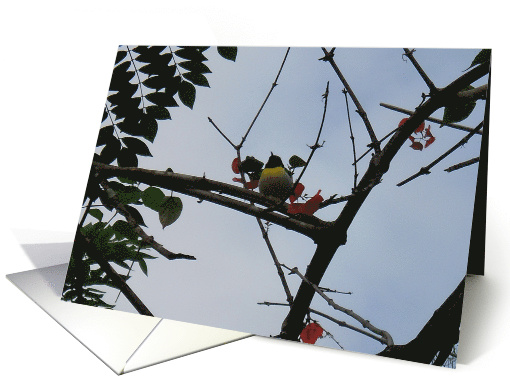 Encouragement, bird in tree card (799865)
