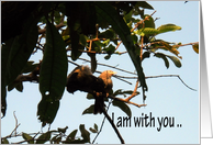 Encouragement , bible verse card