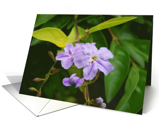 Encouragement , Bible verse card (808566)