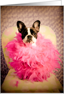 Enouragement, French Bulldog Humor card