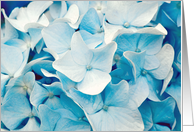 Blue Blue Hydrangea Blank Card