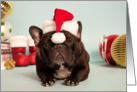 French Bulldog wearing Santa Hat Christmas Card