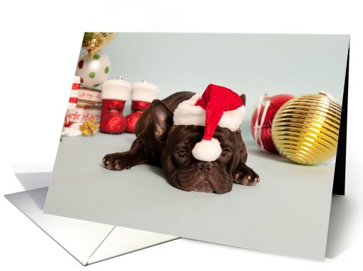 French Bulldog wearing Santa Hat Christmas card (695863)