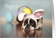 French Bulldog Easter Card