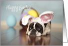 French Bulldog Easter Card