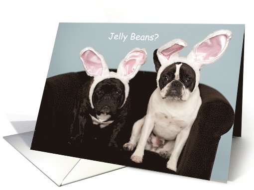 Funny French Bulldog Easter card (795350)