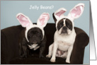 Funny French Bulldog Easter Card