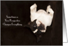 Funny French Bulldog Encouragement Card