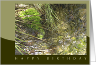 Flowing Creek Greens - Happy Birthday card