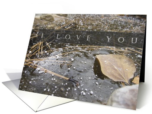 I Love You - Blank Inside - Aspen Leaf in Frozen Pond card (709017)