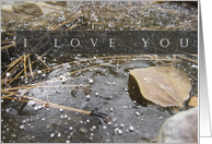 I Love You - Blank Inside - Aspen Leaf in Frozen Pond card