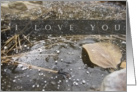 I Love You - Blank Inside - Aspen Leaf in Frozen Pond card