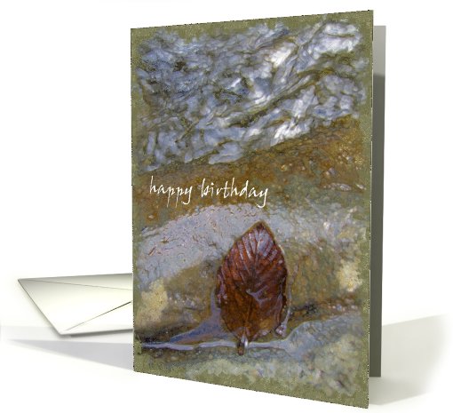 Rust Leaf On Rock In Creek - Happy Birthday - Blank Inside card