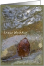 Rust Leaf On Rock In Creek - Happy Birthday - Blank Inside card