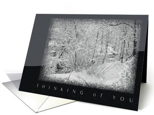 Thinking of You - Winter Creek Bank card (709062)