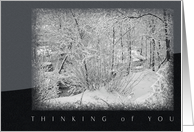 Thinking of You - Winter Creek Bank card