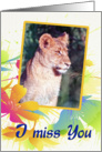 I miss you, lion cub card