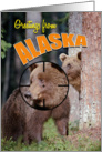 Greetings from Alaska, target of bears in the forest card